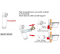 Pipe recoupable pour sortie horizontale ou verticale - Régiplast - Référence fabricant : REGPIPM190