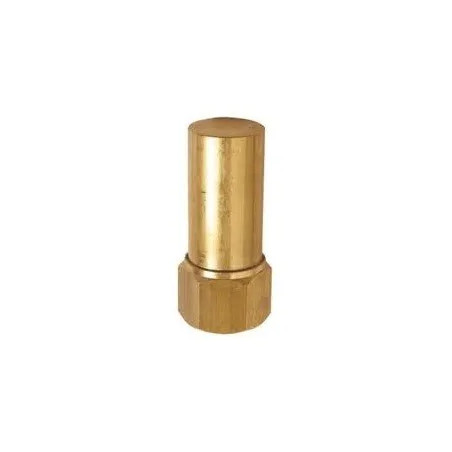 anti-belier-a-ressort-20x27-f-brass