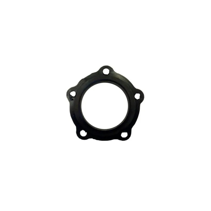 ARISTON 5-hole flange seal 