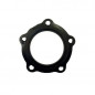 ARISTON 5-hole flange seal 