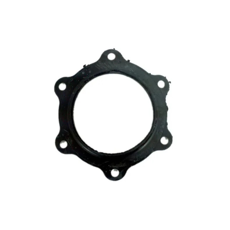 ARISTON 6-hole flange seal