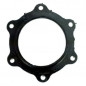 ARISTON 6-hole flange seal