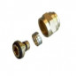 Conector hembra 12x21 - 10x12