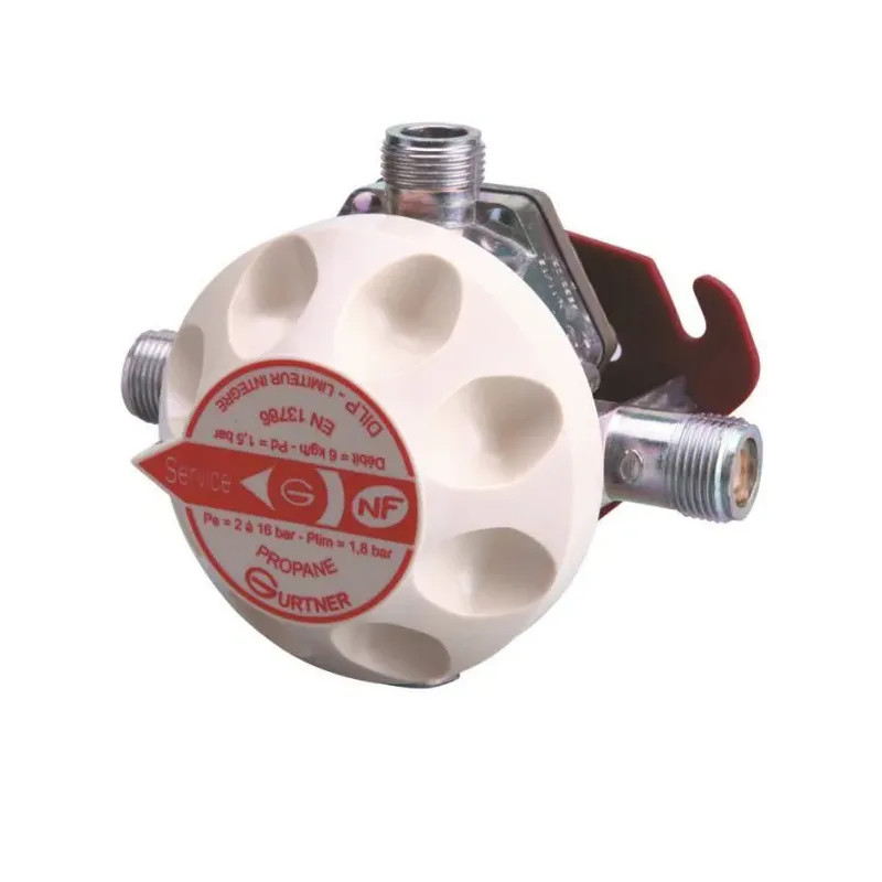 Automatic reversing regulator DILP flow rate 6 kg/h