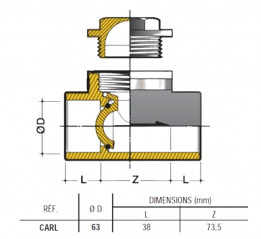 Check valve D.63