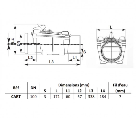 Check valve D.100