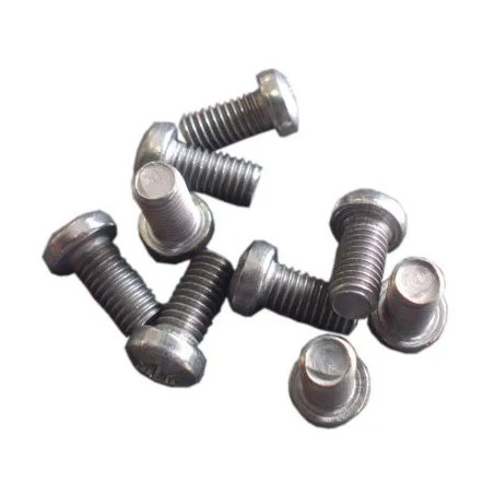 Screw only 5X10(Porcher AM) 10 pieces