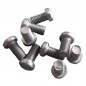 Screw only 5X10(Porcher AM) 10 pieces