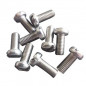 Single screw 5X12 (Pangaud) - 10 pieces