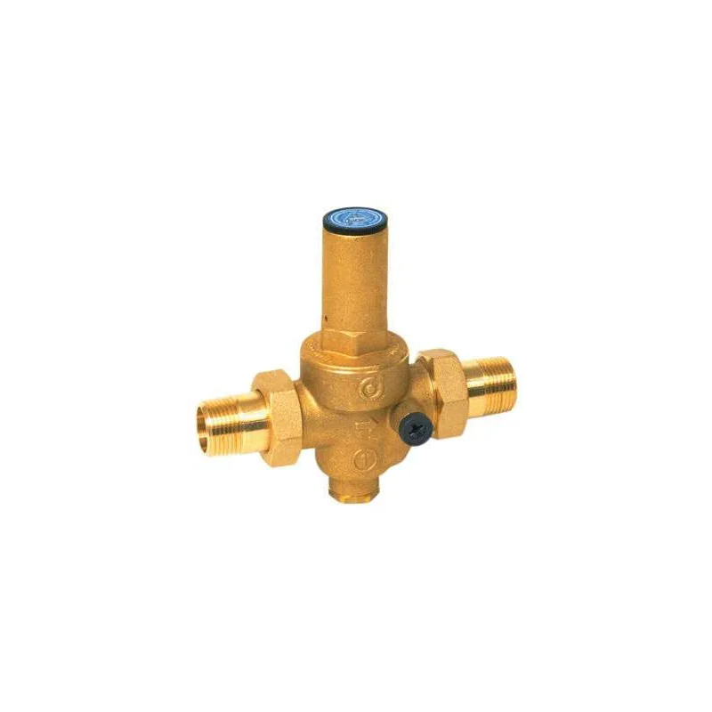 Pressure reducing valve with removable 1" double male connections