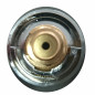 Thermostatic cartridge 0808-0810