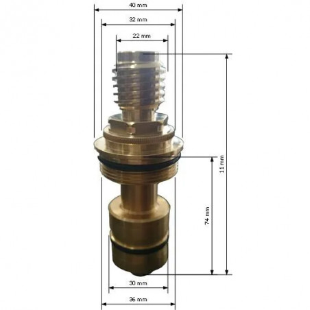 Cartouche Thermostatique pour AUTOAMTIC2000 ou CHIARA