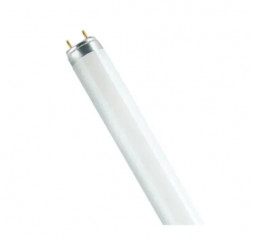 Fluorescent tube: 36W T8 840 HR, 1200mm