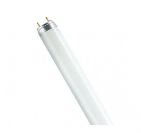 Tubo fluorescente: 36W T8 840 HR, 1200mm