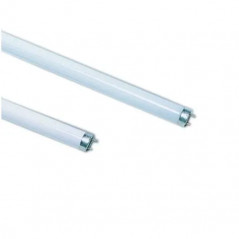 Tube fluorescent : 58W T8 840 HR, 1500mm