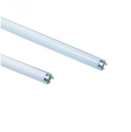 Tube fluorescent : 58W T8 840 HR, 1500mm