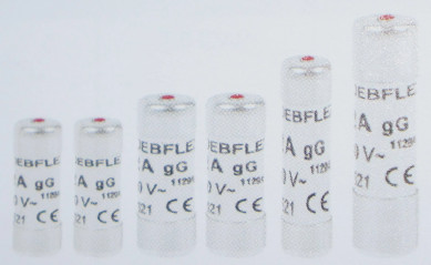 Fusibles avec témoin : 2 ampères (3 pièces)