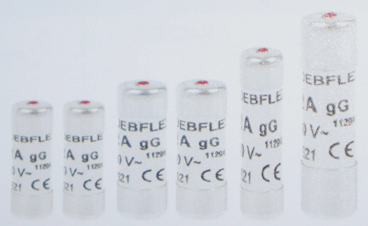 Fusibles avec témoin : 2 ampères (3 pièces)