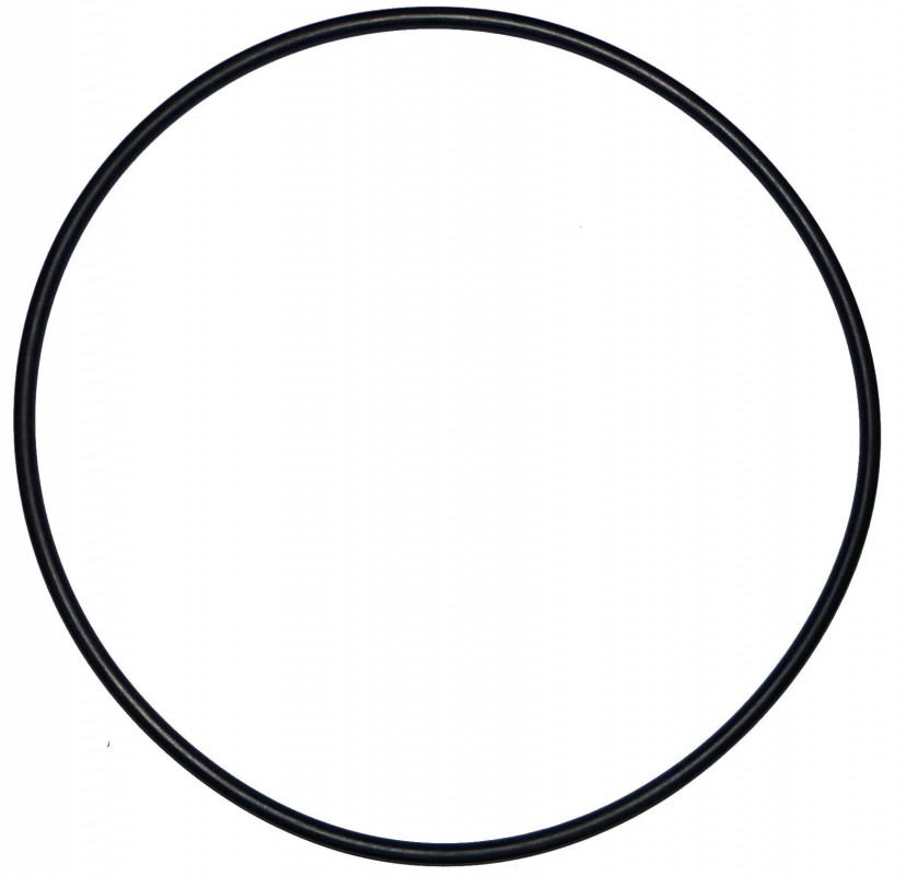 O-ring 200 mm diameter for old Calpas filter dome (d.195mm)