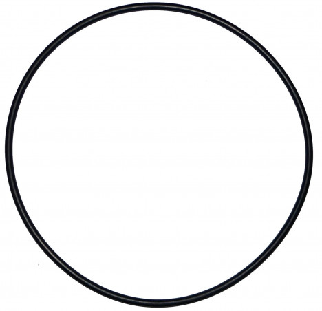 O-ring 200 mm diameter for old Calpas filter dome (d.195mm)