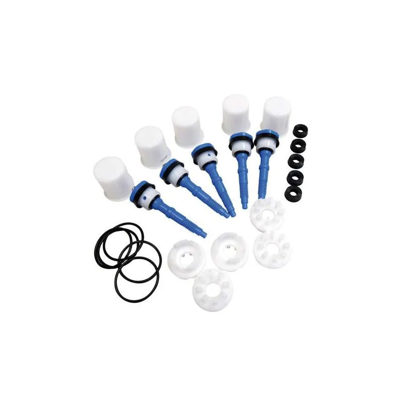 Bag of 5 complete pistons blue, for PRESTO 600,700 