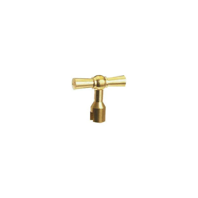 Single key for entry cover head with 4 mm slot