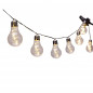 String of 10 leds Bulbs M-DL-3000