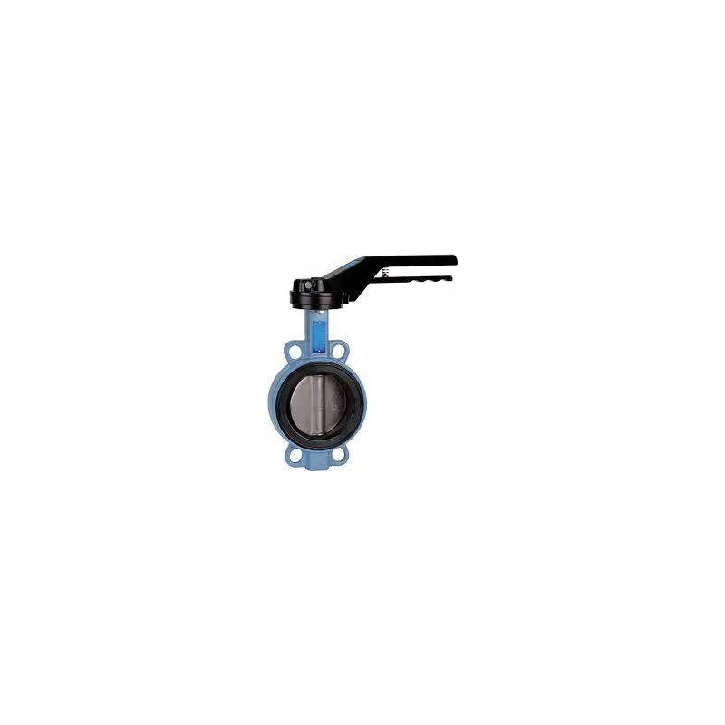 Butterfly valve 1170 DN.65mm ACS PN10/16/20