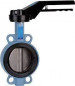 Butterfly valve 1170 DN.65mm ACS PN10/16/20