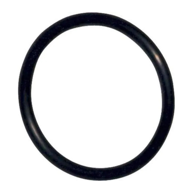 O-ring for SIAMP valve 324544.07