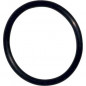 O-ring per valvola SIAMP 324544.07