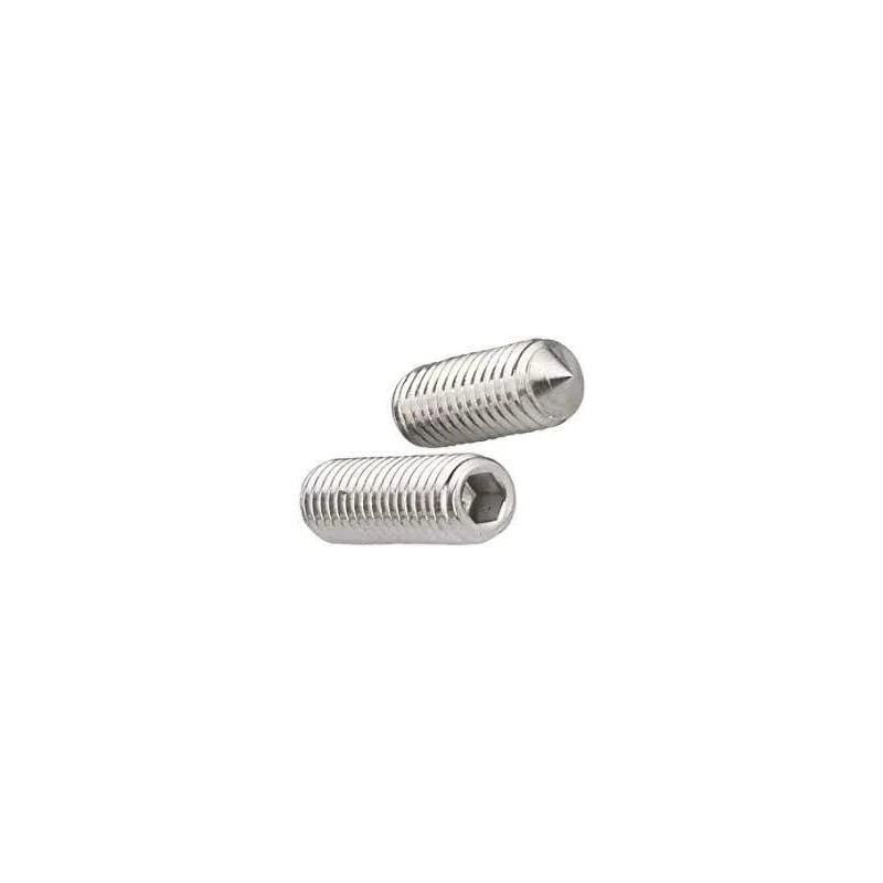 Vis pointeau x 2 diamètre 5 mm longueur 8 mm avec clé allen