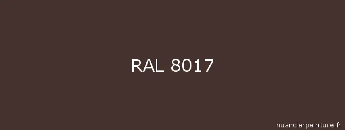 400ml gloss spray paint, chocolate, RAL 8017