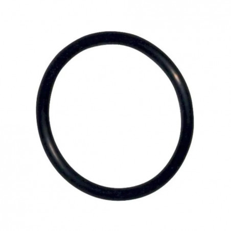 O-ring for SIAMP mechanism, diameter 52mm, 2 pieces