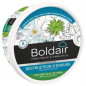 Destructeur d'odeurs Boldair bloc gel 300g thé vert