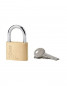 Padlock Type 1, 40mm, steel shackle, 2 keys