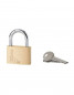 Padlock Type 1, 45mm, steel shackle, 2 keys