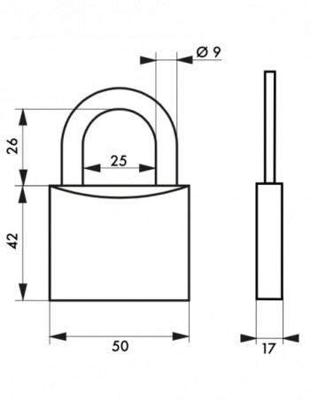 Padlock Type 1, 50mm, steel shackle, 2 keys