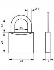 Set di 2 lucchetti Tipo 1, 40mm, grillo in acciaio, 4 chiavi