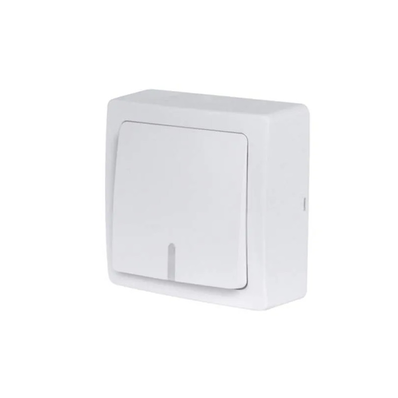 Surface mounted illuminated pushbutton with indicator, 10A 250V, BLOK series