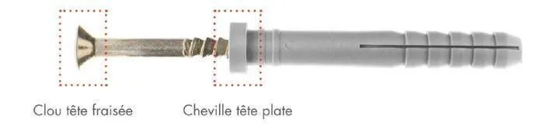 Cheville RAMSPEED tête plate avec clou-vis TF 5x30, 20 pièces