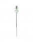 Vertical pull cord for washbasin, bidet chrome