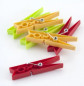 Plastic clothes pegs, 24 pieces