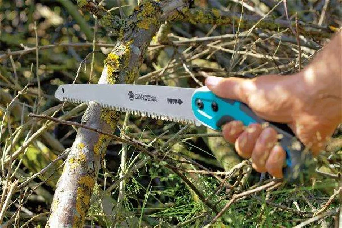 Pruning saw 300P