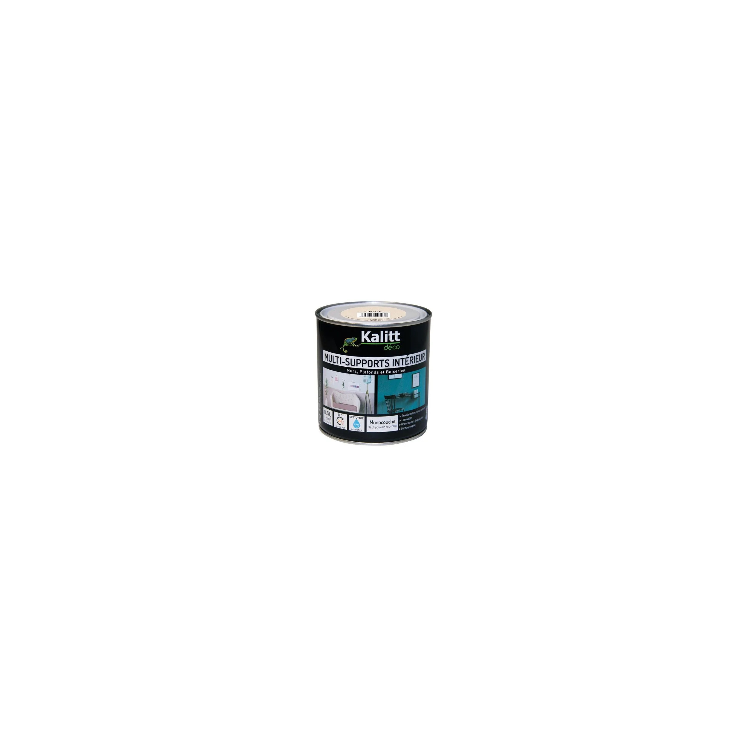 Peinture multi-support satin blanc 0.5 litre 