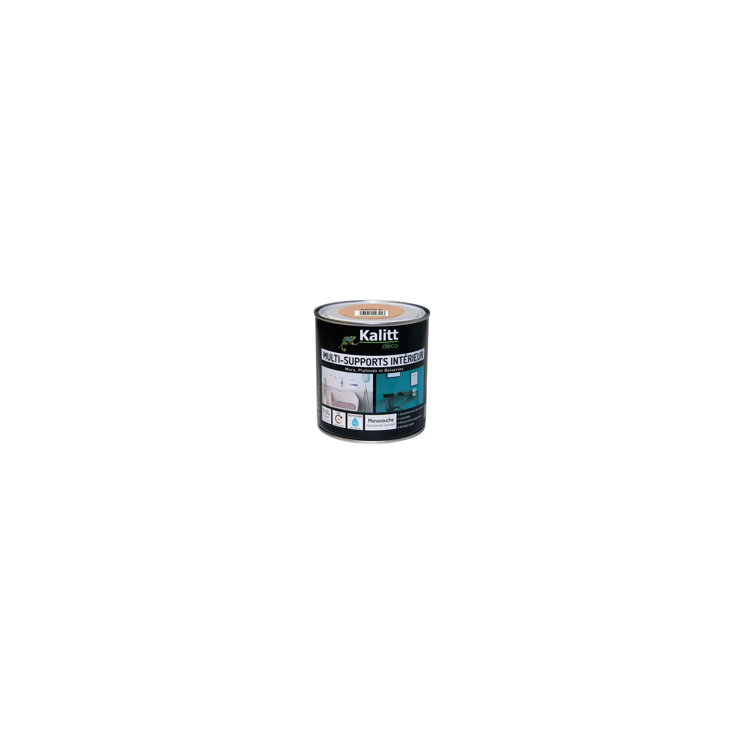 Peinture multi-support satin blanc 0.5 litre 