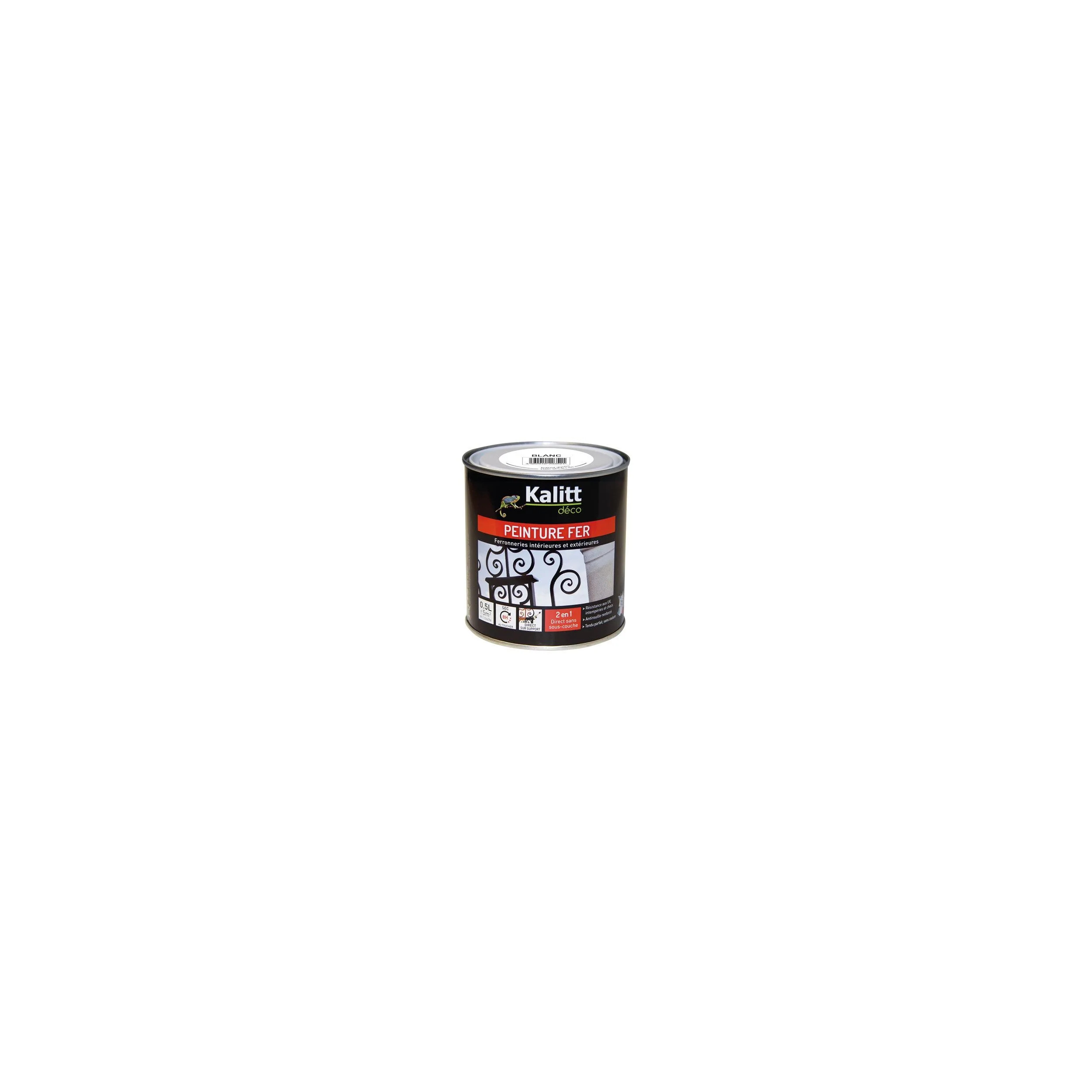 Peinture multi-support satin blanc 0.5 litre 