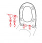 Hinge fasteners with slow descent for Chamade toilet seat