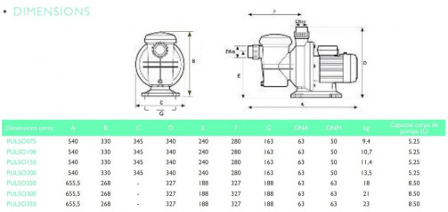 Filterpumpe PULSO 2.5 cv Einphasig