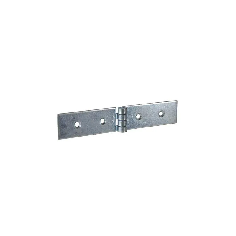 Hinges for cabinet, L160 H30, galvanized steel